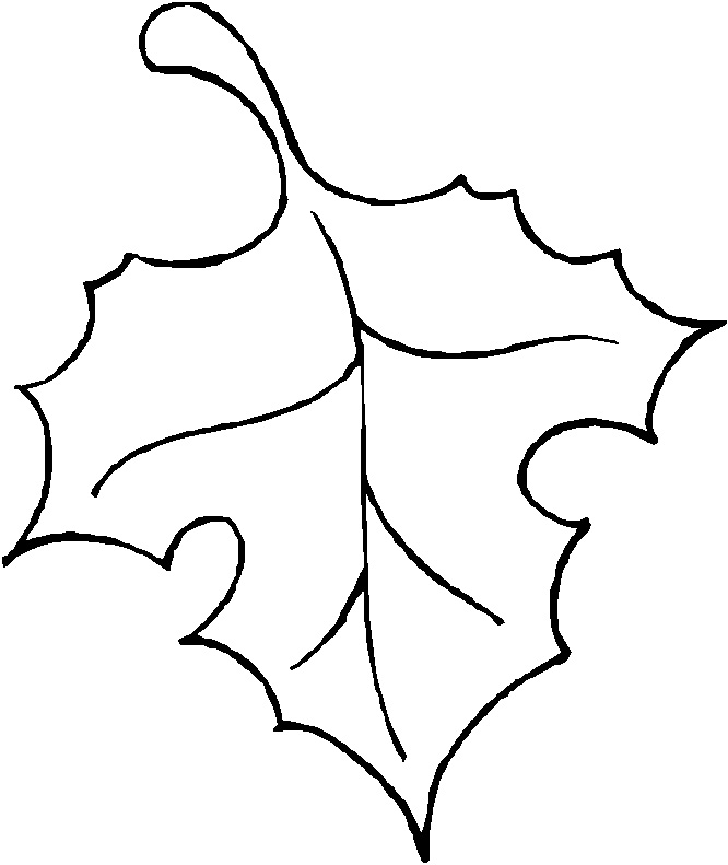 free clipart leaf outline - photo #13