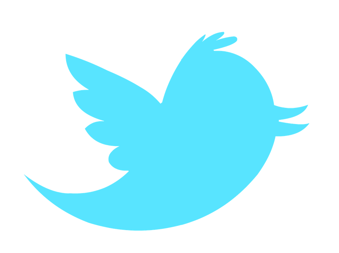 Twitter Bird Logo Png Transparent Background