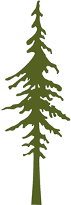 Silhouette Design Store - View Design #20892: redwood tree