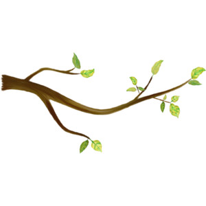 NLD Branch 3 with leaves.png - Polyvore