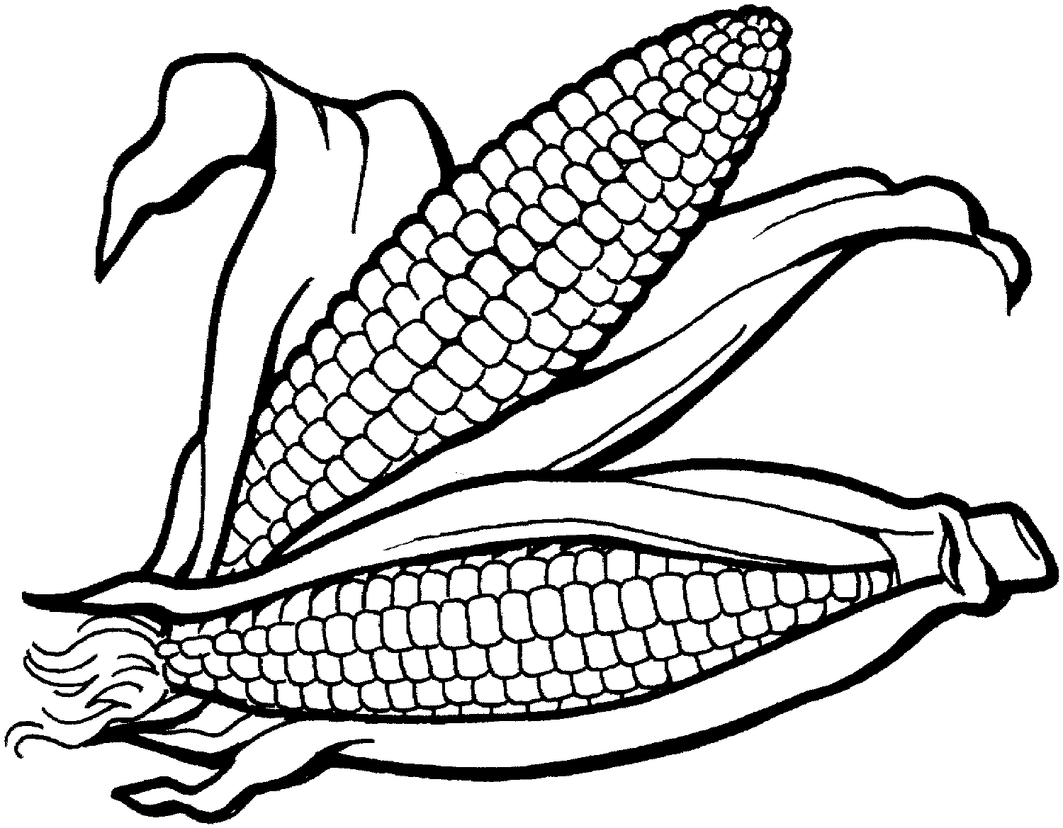 child-of-artemis: Corn Clipart Black And White