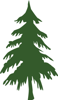 Fir Tree Pictures - ClipArt Best
