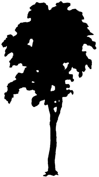 Tree Silhouette Clip Art - Tumundografico