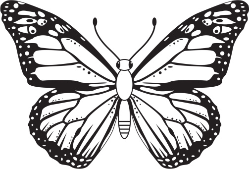 Butterfly monarch black and white clipart