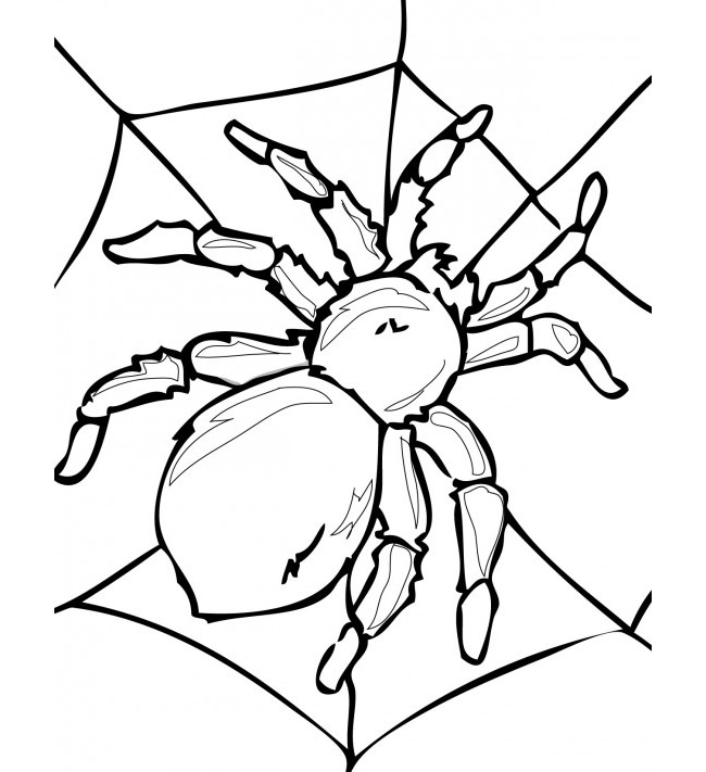 Spider Shape Template - 55+ Crafts & Colouring Pages | Free ...