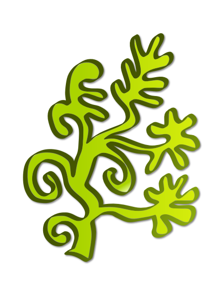 Algae Cartoon Clipart