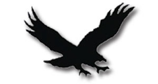 Hawk images clipart
