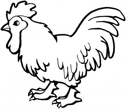 black and white chicken clipart