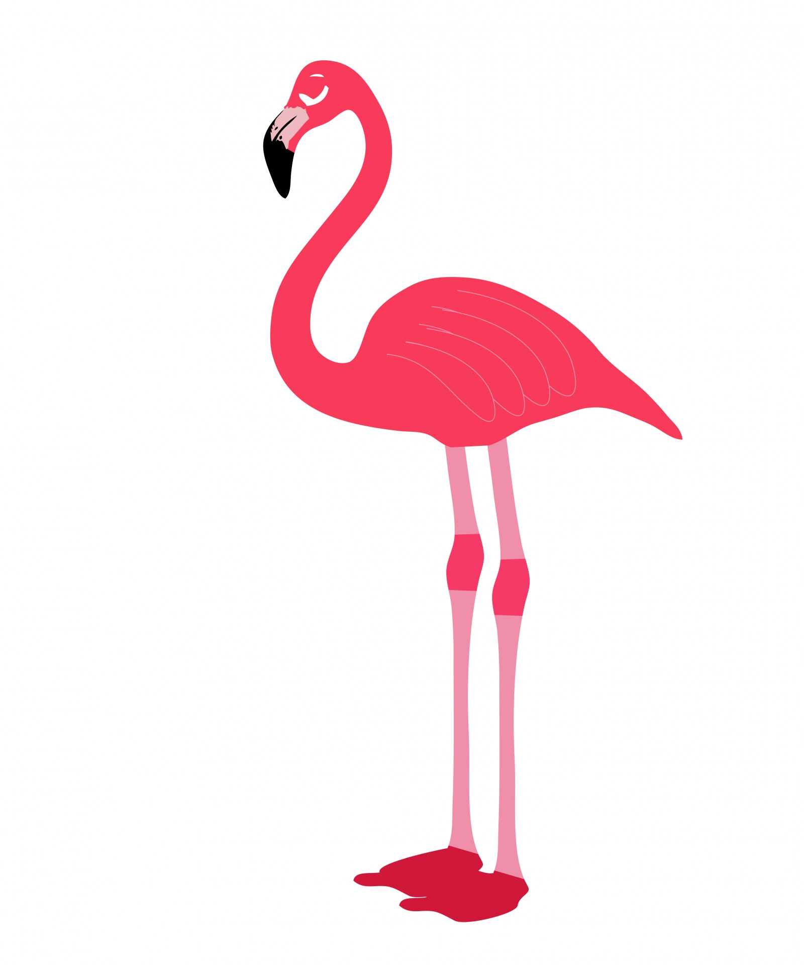 Cartoon flamingo clip art