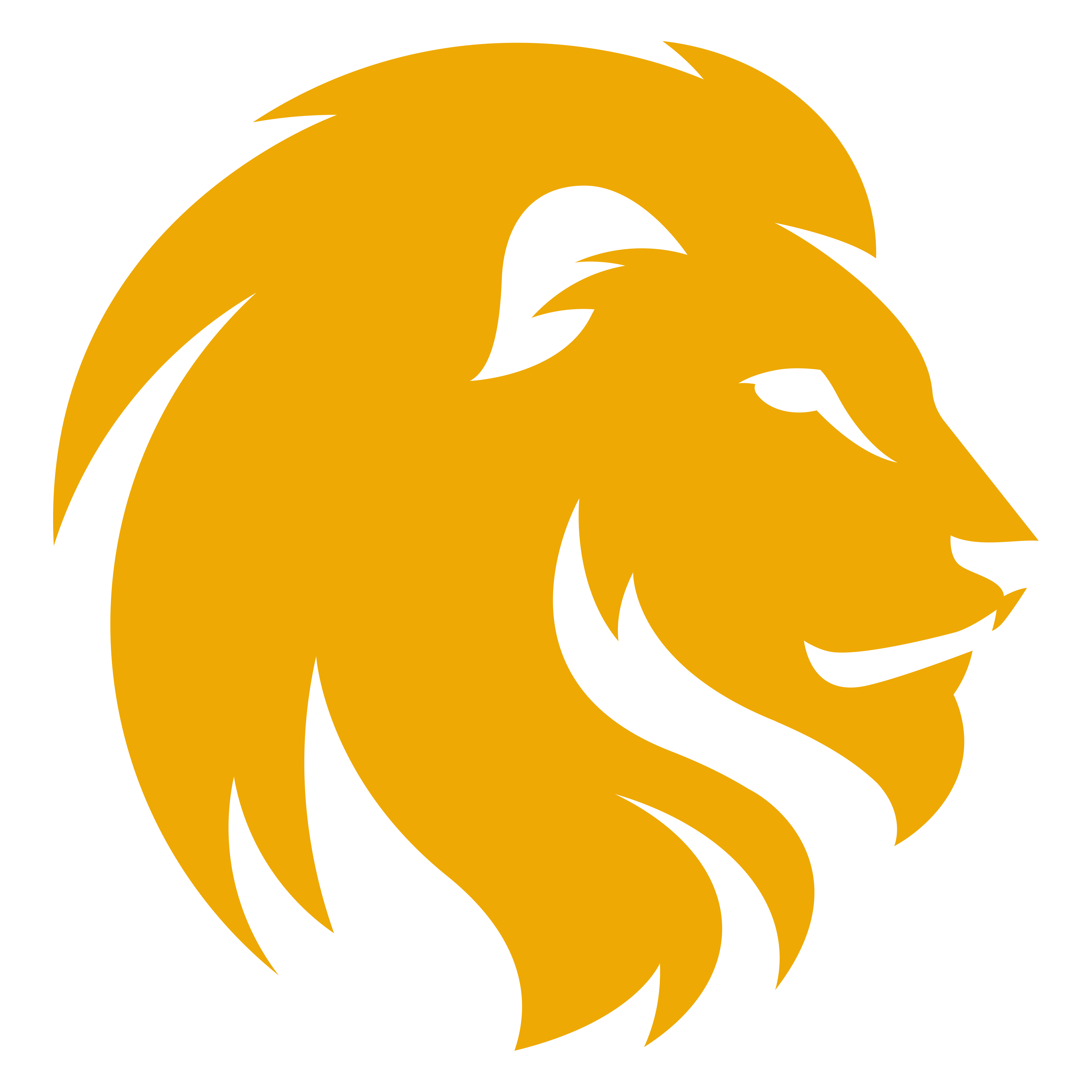 Lion Logo Pics ClipArt Best