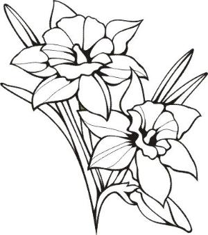 Coloring Pages by Dwilliamswood on Indulgy.com
