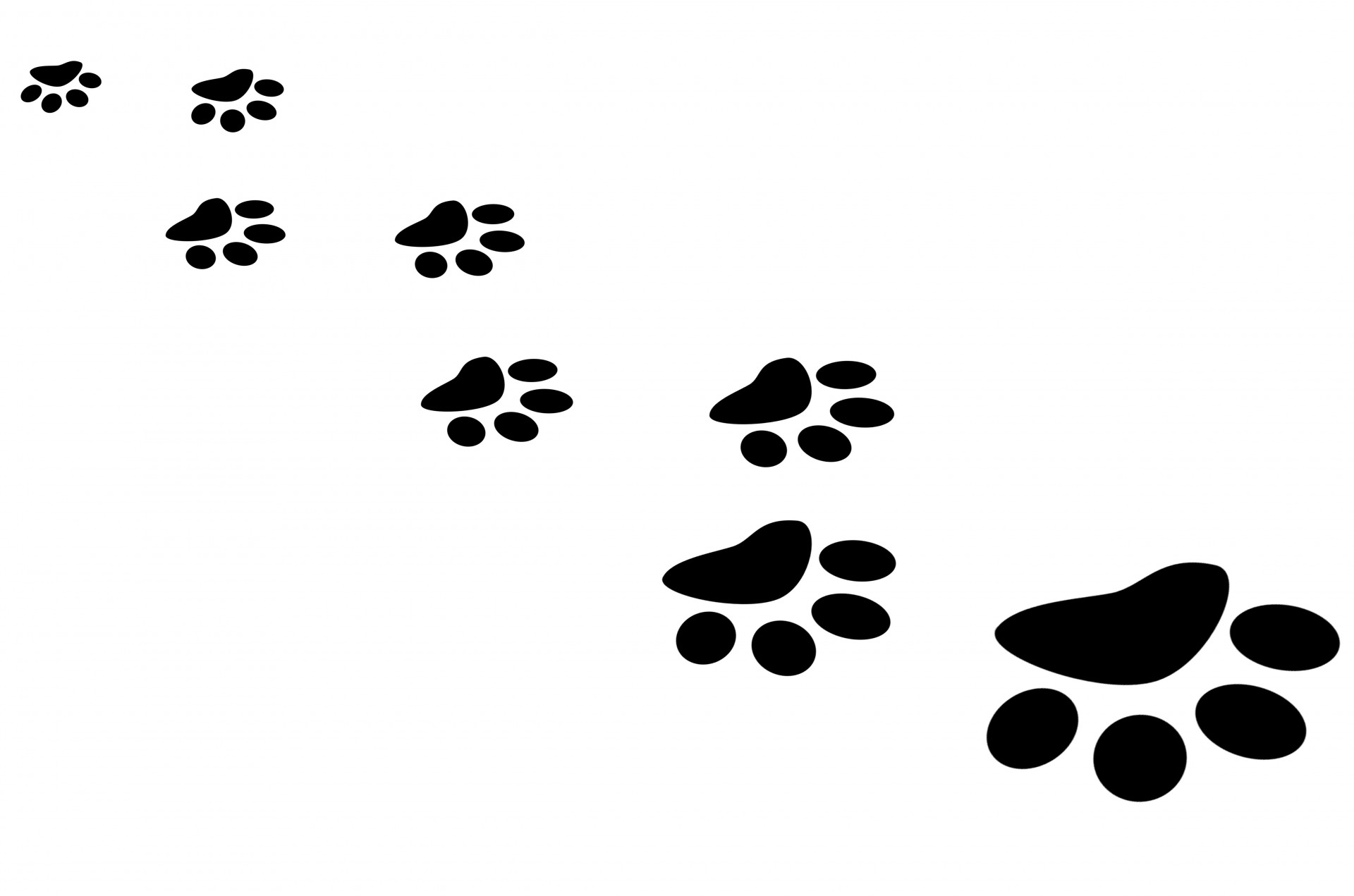 Clipart dog print trail
