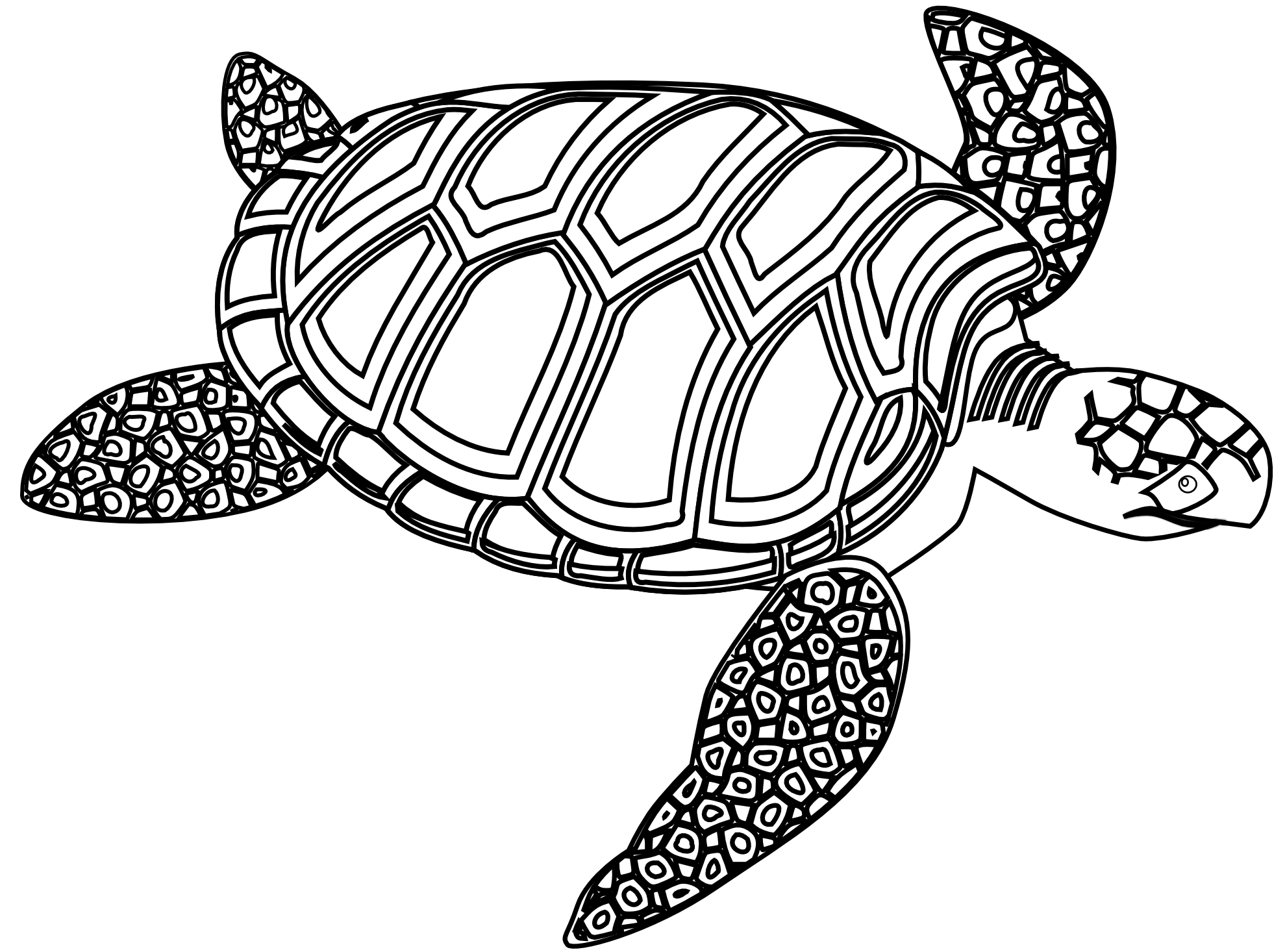 Black and white sea turtle clipart