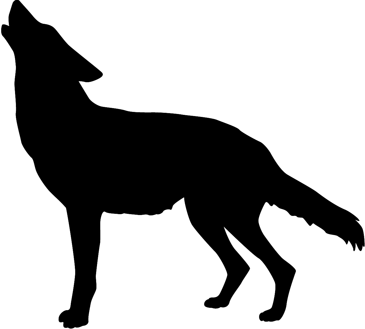 Coyote Silhouette