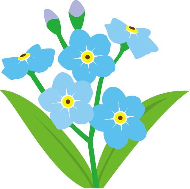 clip art forget me not flower - photo #7