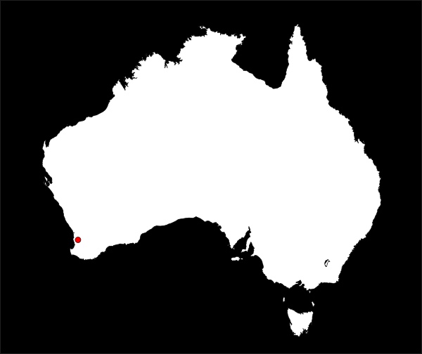 Australia Map clip art - vector clip art online, royalty free ...