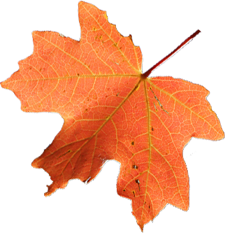 889 views YogaSport Dallas Take a Deep Breath, and Cleanse (Fall Detox ...