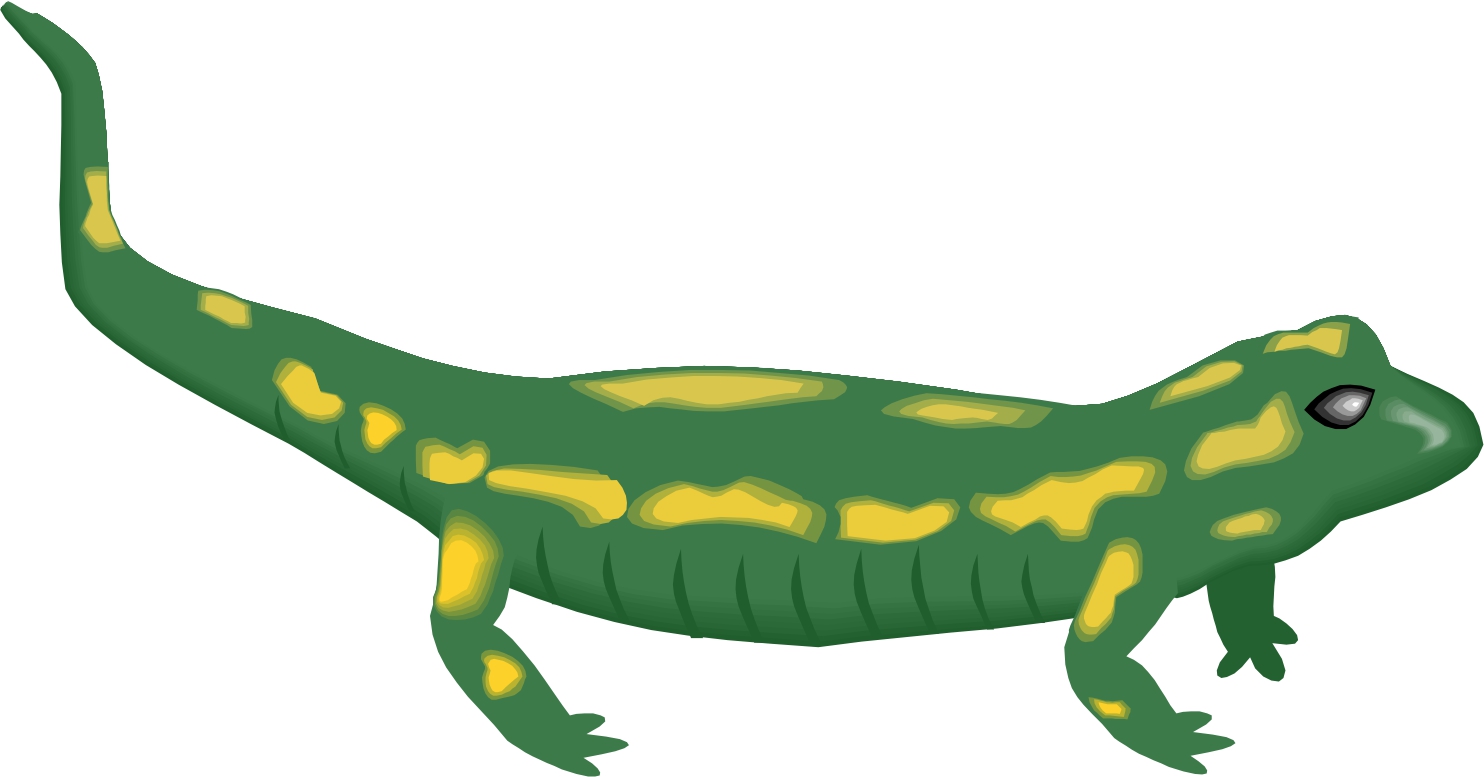 cartoon lizard clipart - photo #35