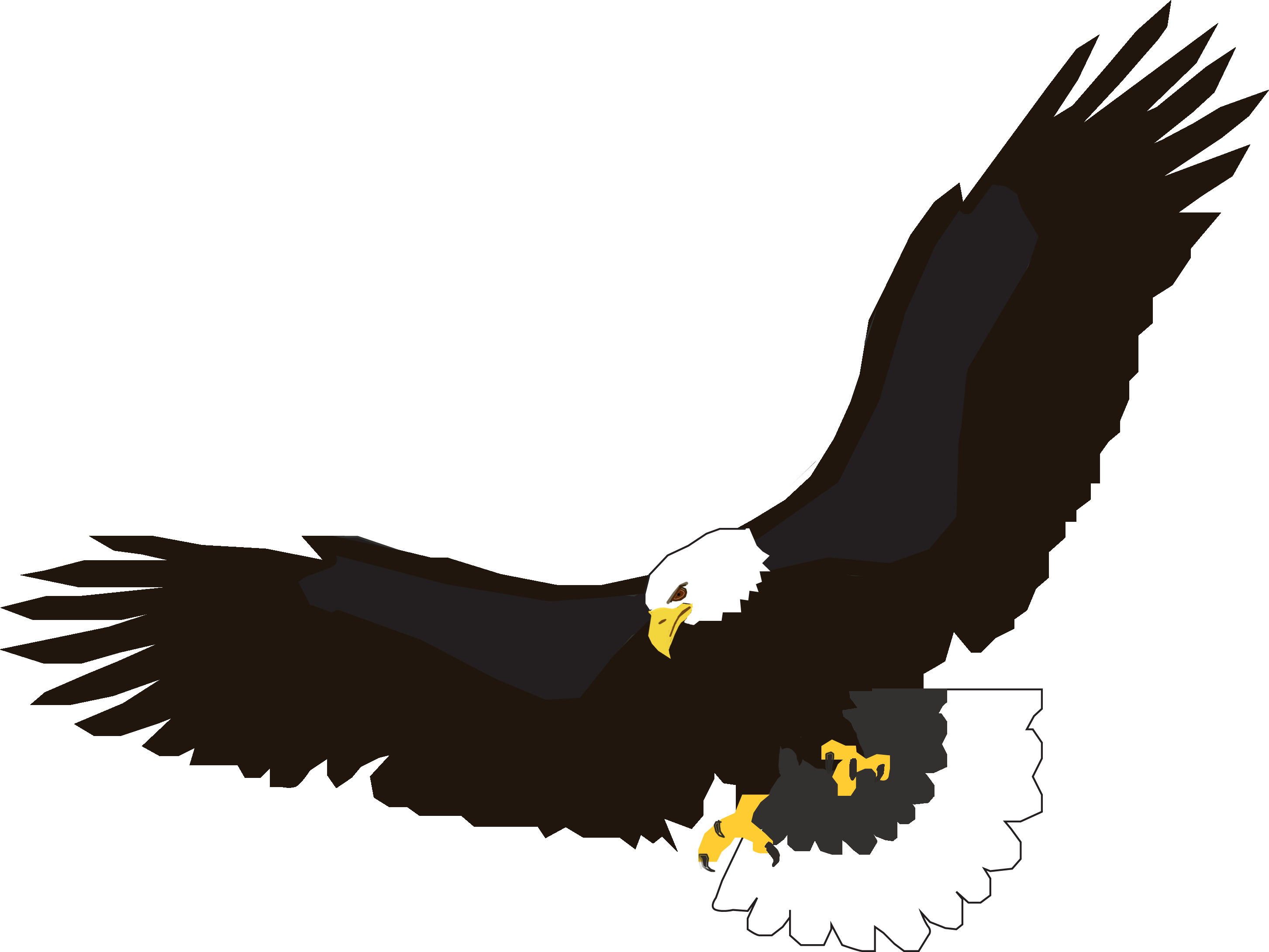 Download Eagle Free PNG photo images and clipart | FreePNGImg