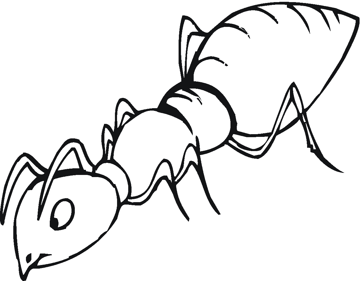 Ant Line Drawing ClipArt Best