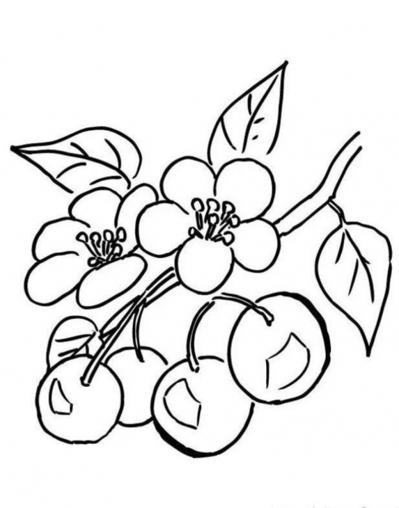 Cherry Blossom Coloring Pages Page 1
