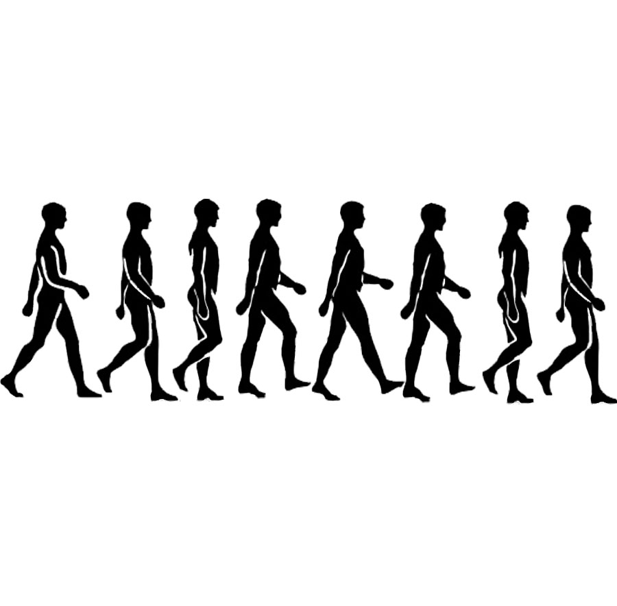 Person Walking Animation - ClipArt Best