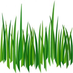 Forest grass clipart
