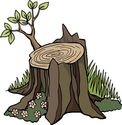Tree Stump Clip Art, Vector Images & Illustrations