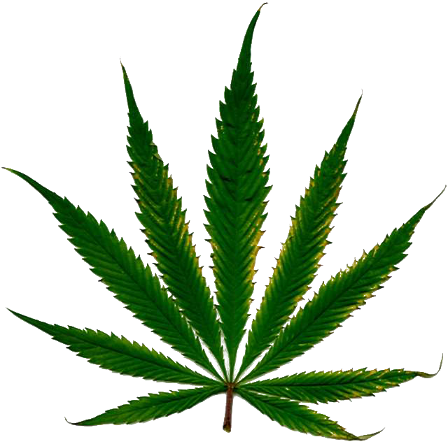 clipart cannabis leaf - photo #19