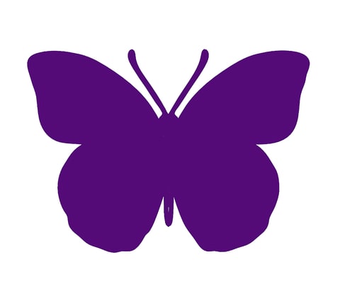 What Purple Butterfly Stickers at the Hospital Mean - Us Weekly