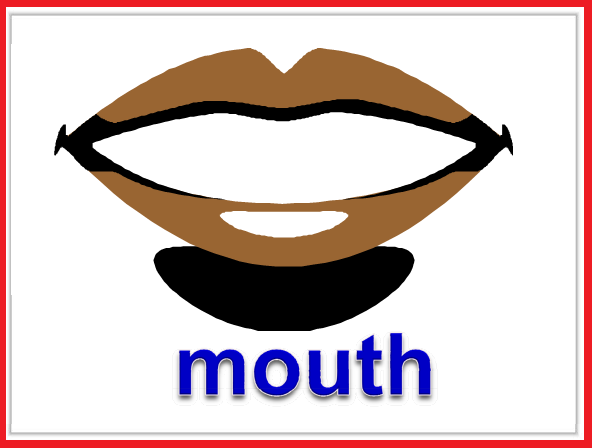mouth body parts Gallery