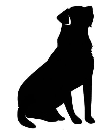 Labrador retriever, Temporary Tattoos and Tattoo set