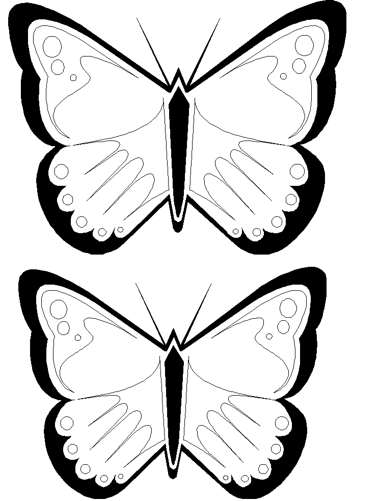 Butterfly Outline Clipart | Free Download Clip Art | Free Clip Art ...