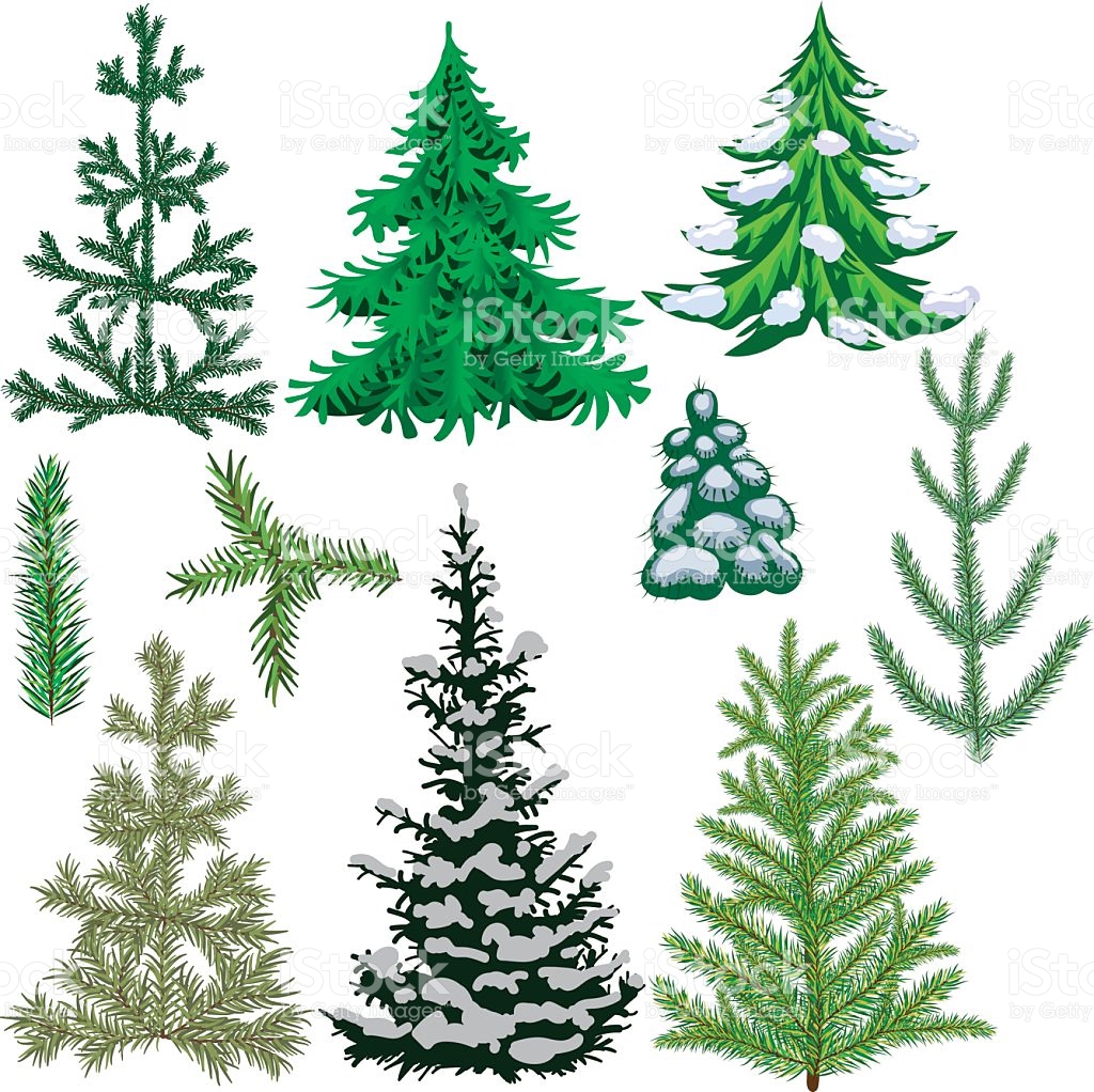 Set Of Fir Trees For The Christmas And New Year stock vector art ...