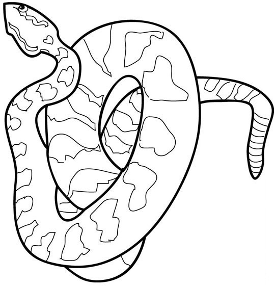 Snake Coloring Pages For Kids - NewColoringPages