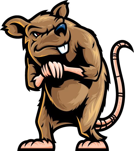 Rat clipart images