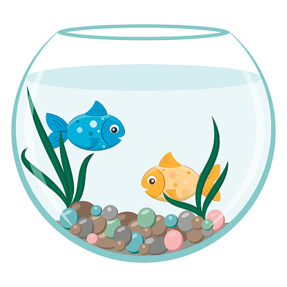 Fishbowl Clip Art, Vector Images & Illustrations