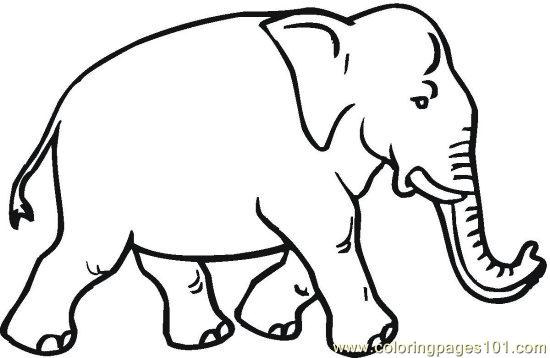 Elephant (11) printable coloring page for kids and adults