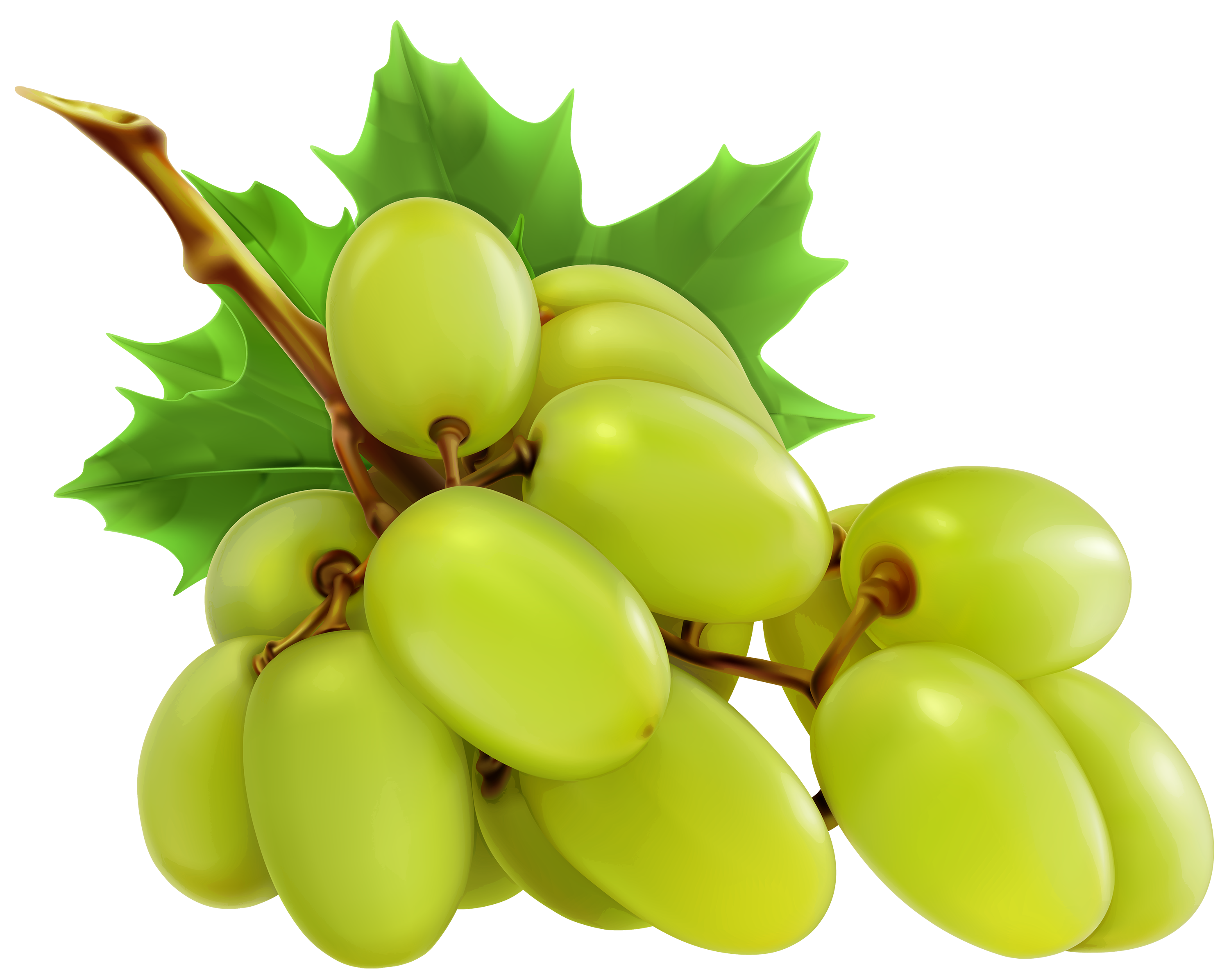 Clipart for grapes