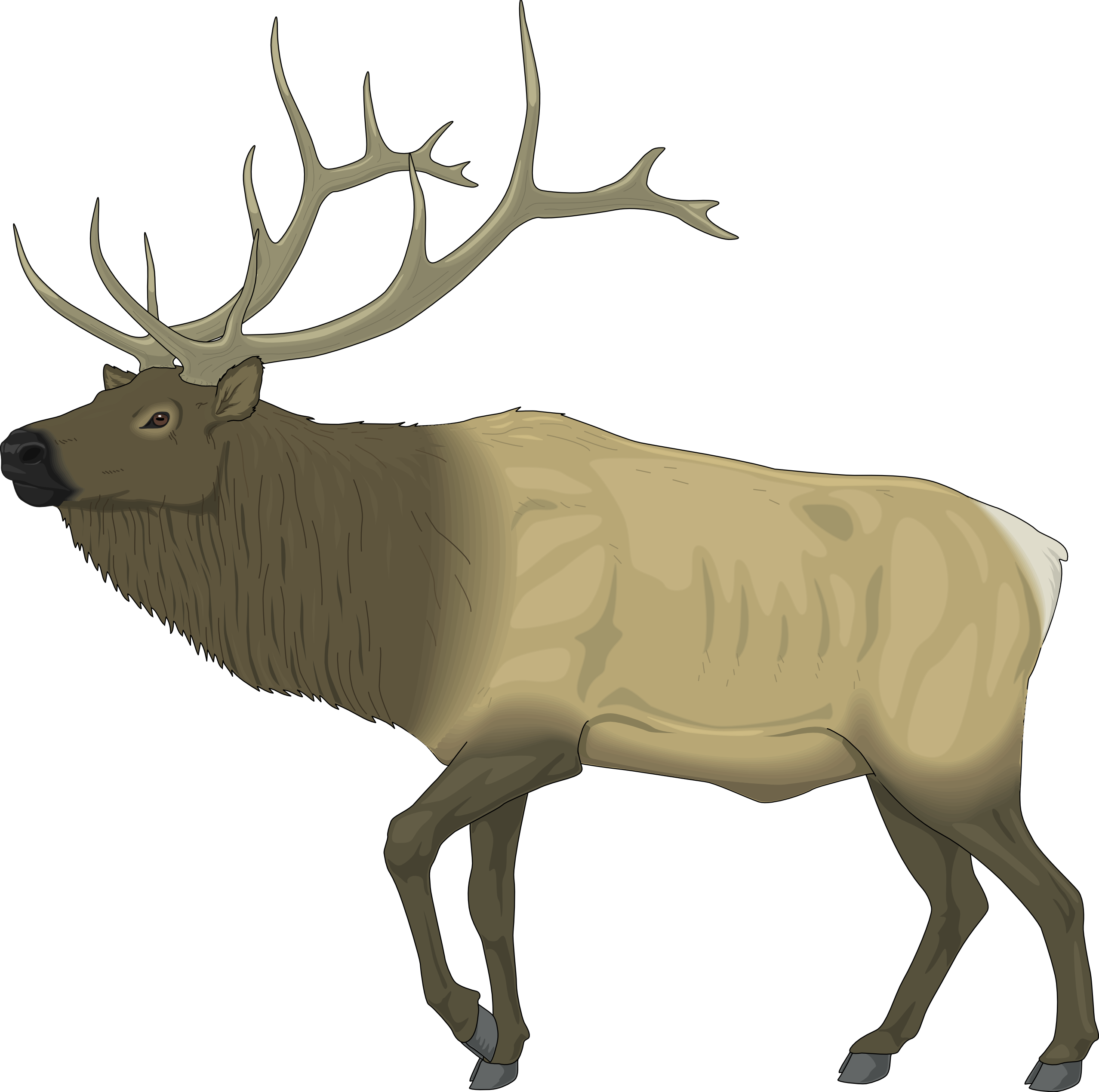 Clip Art: Reindeer Raindeer Animal 4 Christmas ...