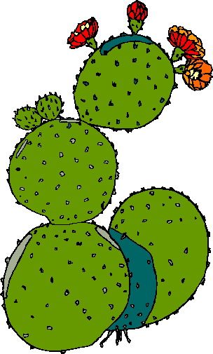 Clip Art - Clip art cactus 519213