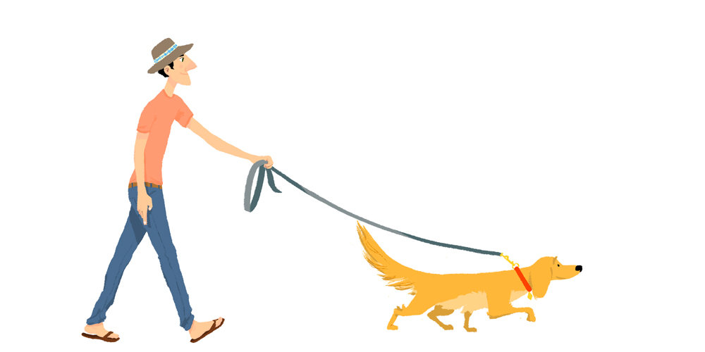 free clipart dog walking - photo #20