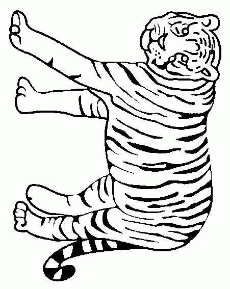 Coloring Page - Tiger animal coloring pages 12