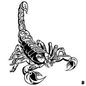 Tribal Tattoos Designs: Scorpion Tattoos - Scorpion Tattoo Designs