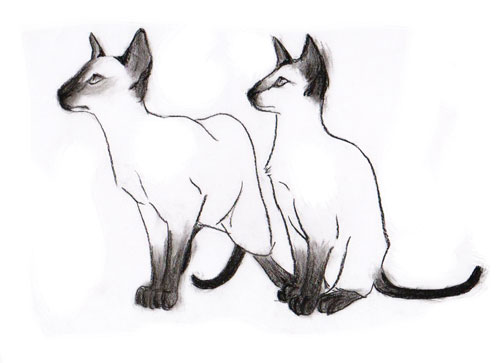Blog: A Bag of Cats - Doodlers Anonymous