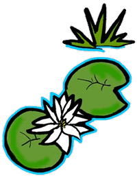 Cartoon lily pad clipart