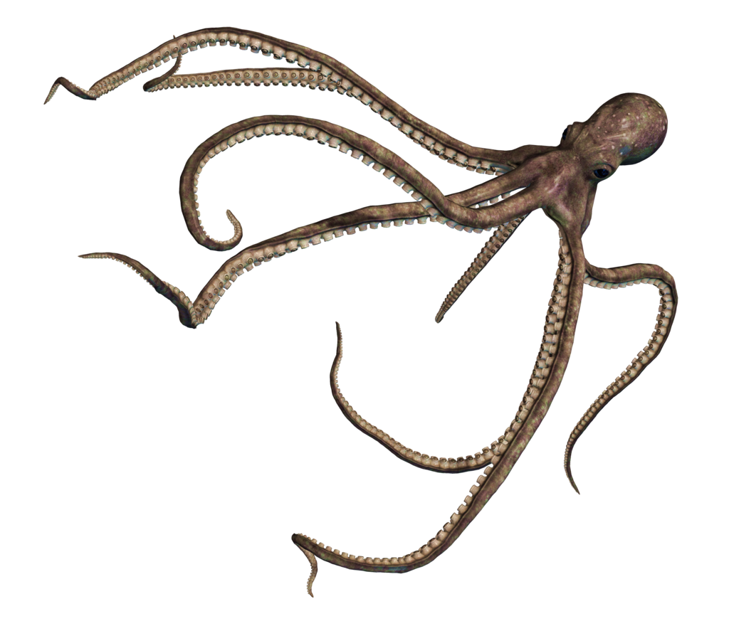 DeviantArt: More Like Giant Octopus PNG Stock by Roy3D