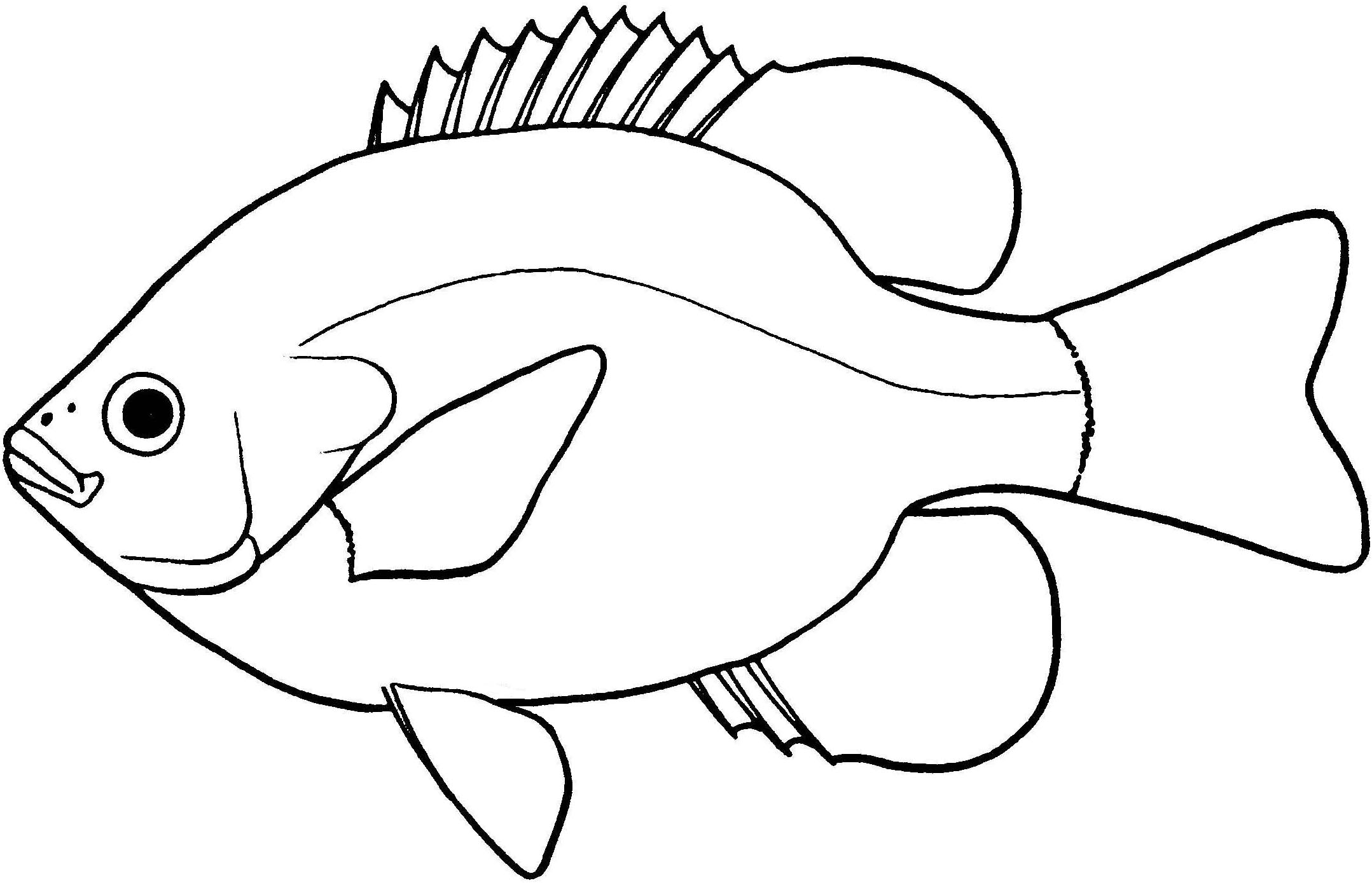 Fish Line Drawings