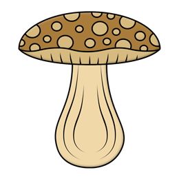 Cartoon Mushroom | Avatar Full ...