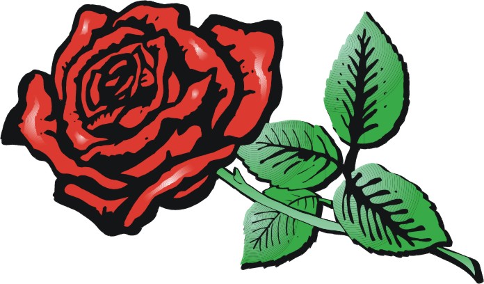 Roses cartoon images